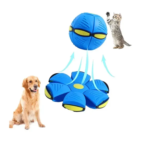 Doggy Disc Ball - Image 4