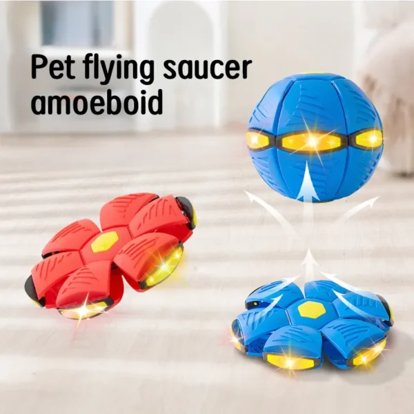 Doggy Disc Ball
