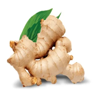 Ginger (Green)